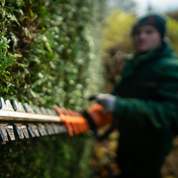 Mitarbeiter Gartenpflege (m/w/d)